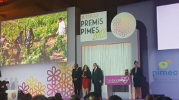 Premis Pimes 2018