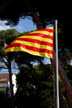 Diada Nacional -Arenys- (2)